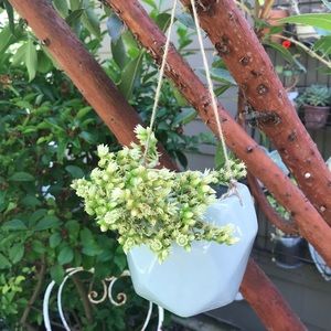 New Hanging Ceramic Planters 4 Colors